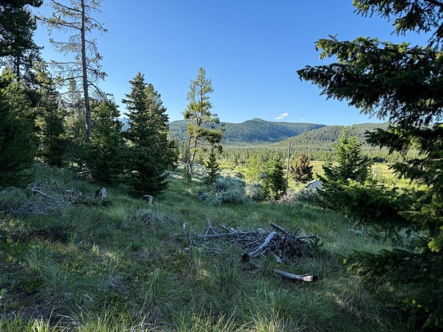 This gently sloping, buildable lot sits in a quiet, lightly wooded setting just off Sunchild Road, with easy access to Highway 1 and a newly constructed driveway that brings you close to a great building site. A filtered view of Georgetown Lake peeks through the trees, with the spectacular Anaconda Pintlers rising across the valley. There’s plenty of room here for a home, shop, or garage—whether you’re planning a weekend basecamp or something more permanent. 

The location places you in the heart of four-season recreation. In spring, watch the rainbows stack up to spawn in the shallows of Georgetown Lake. Summer brings boating, hiking, and high-country adventure, with trailheads, lakes, and creeks just minutes away. In fall, this area shines for both hunting and fishing, with public land and Rock Creek close by. And when the snow flies, Discovery Ski Area is just up the road for powder days and family-friendly terrain.

Power runs along the access road approximately 250 feet from the property line, making future development straightforward. Whether you’re dreaming of a cabin, a garage for the toys, or just a place to escape to when the mountains call, this property offers an ideal mix of usability, privacy, and proximity to everything that makes the Georgetown Lake area so special.