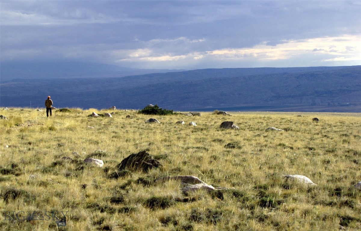 Other - Land