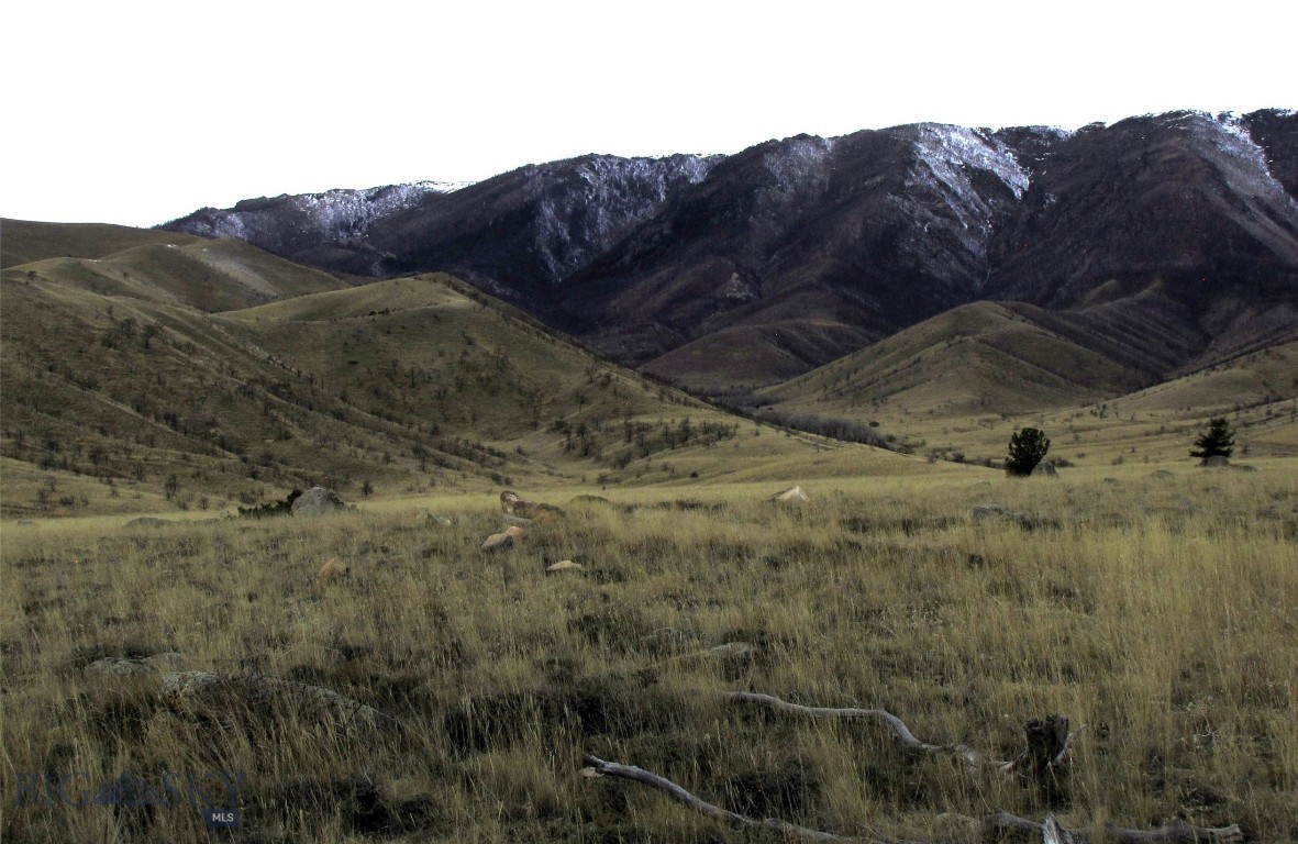Other - Land