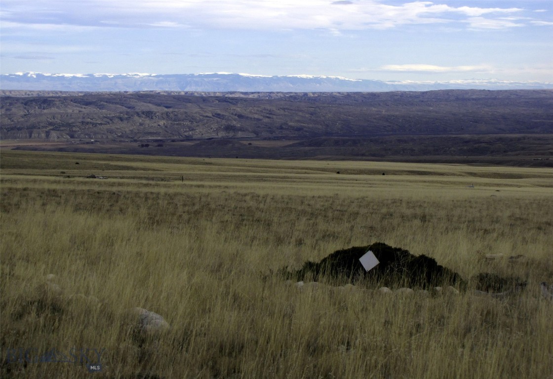 Other - Land