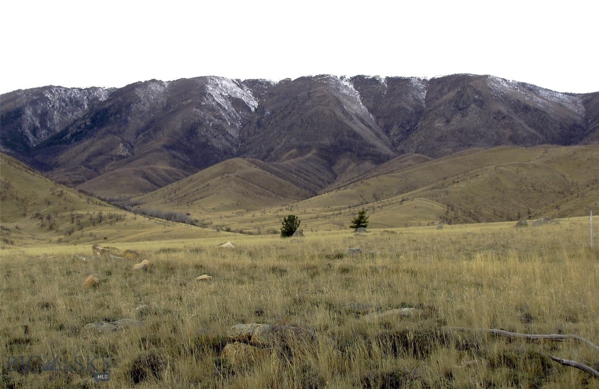 Other - Land