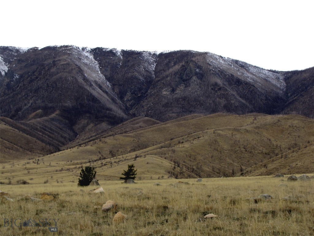 Other - Land