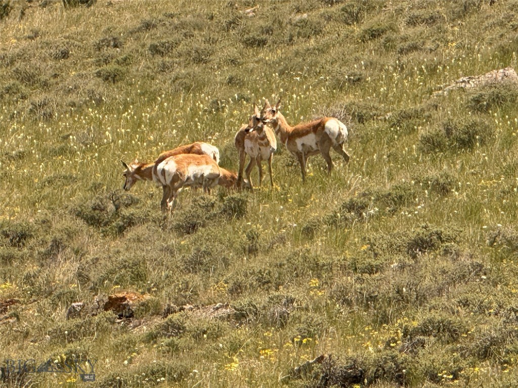 Gallatin River Ranch - Residential