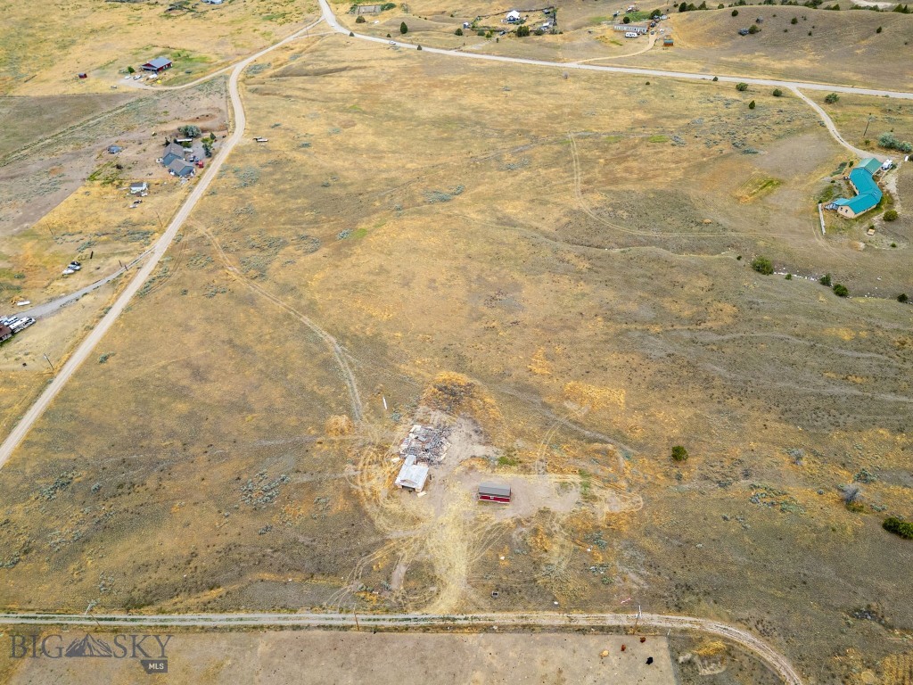 Ponderosa Pines - Land