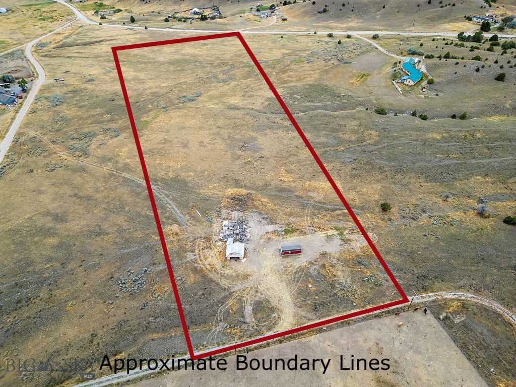 Ponderosa Pines - Land