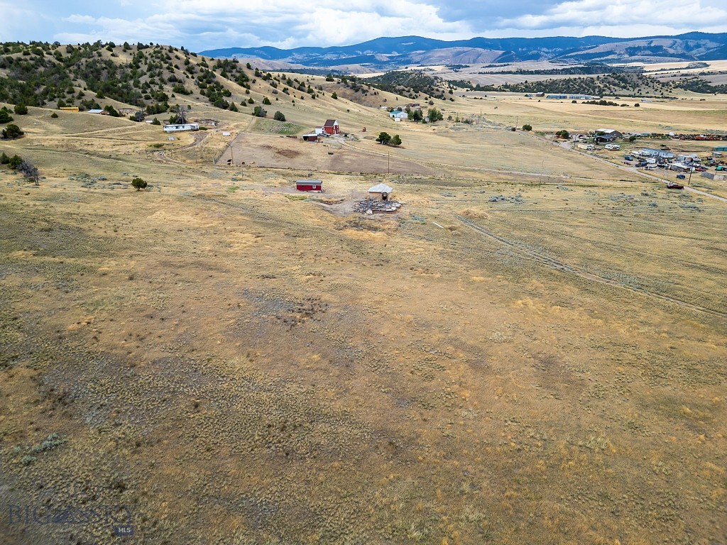 Ponderosa Pines - Land
