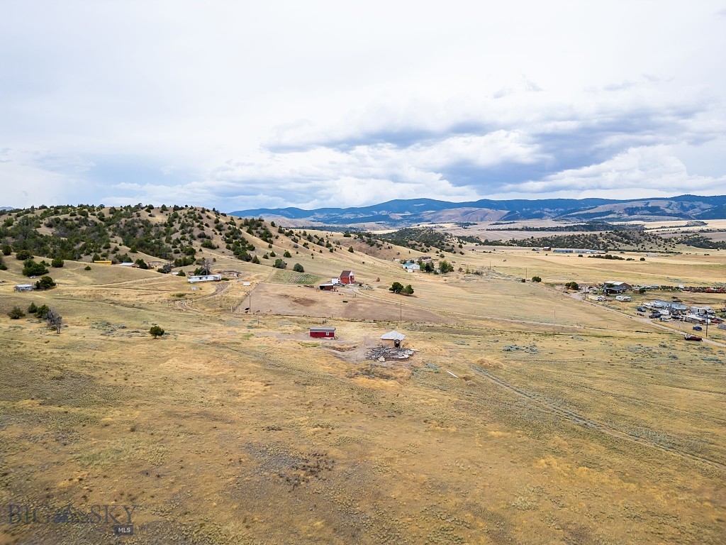 Ponderosa Pines - Land
