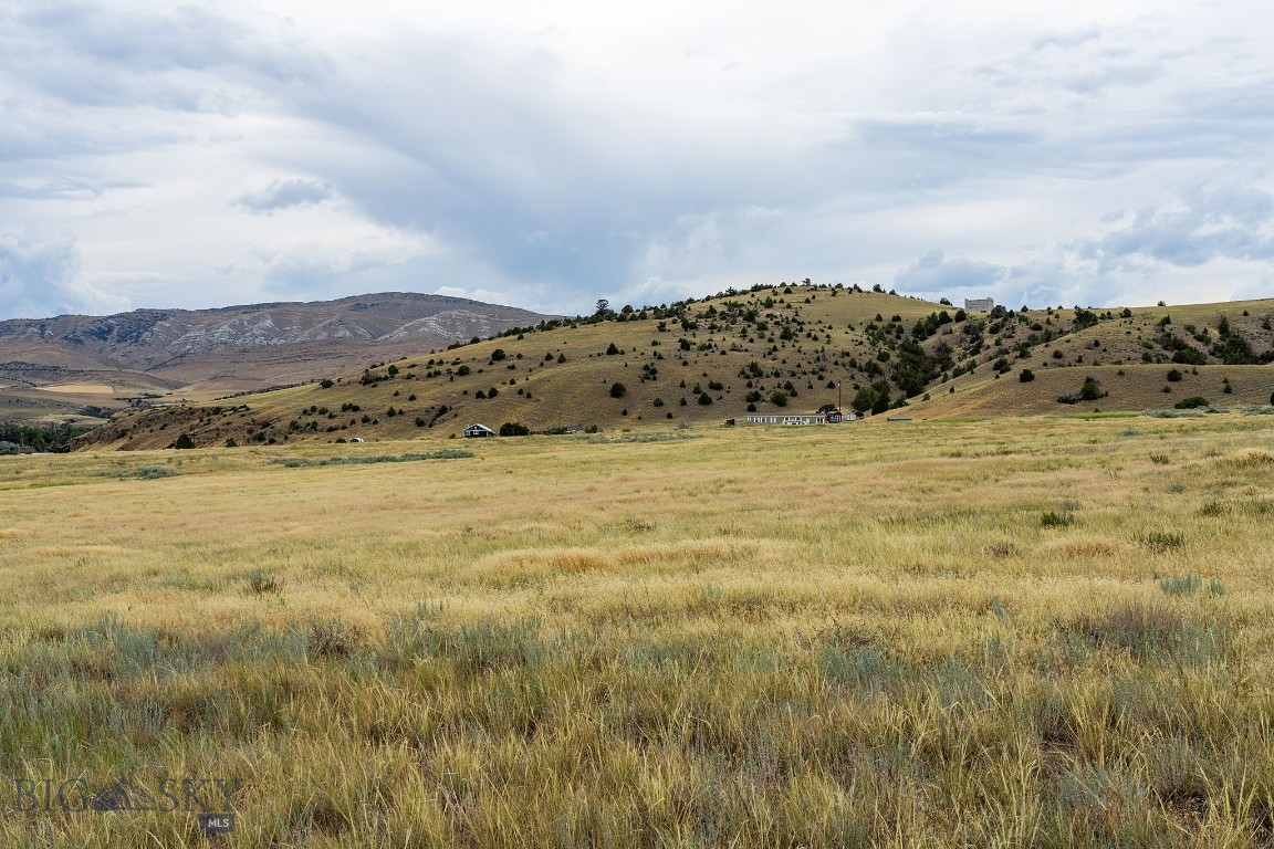 Ponderosa Pines - Land