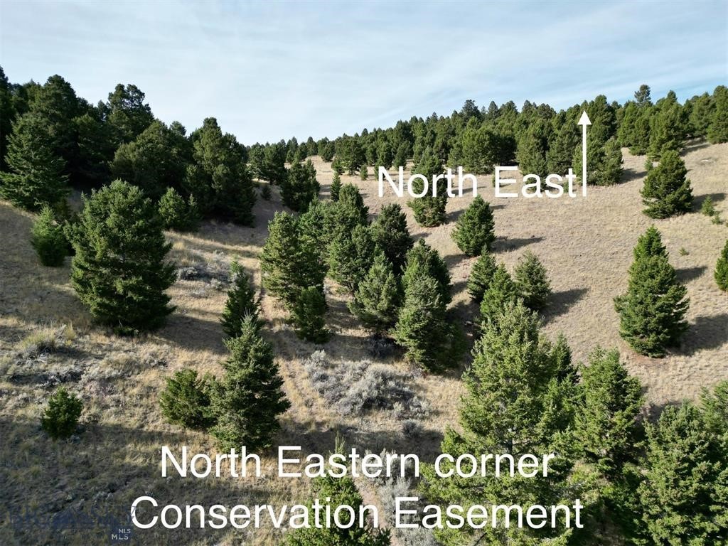 None - Farm