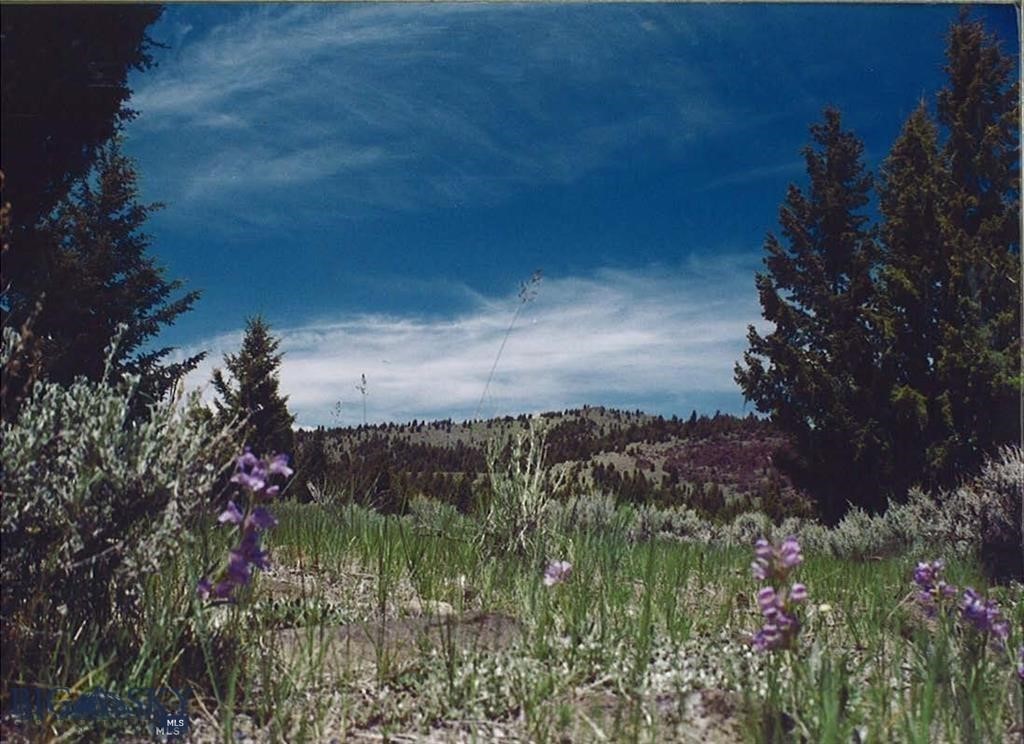 Tucked into the Rocky Mountains of southwest Montana, Flint Creek Ranch spans over 900 acres of pristine wilderness, offering unmatched privacy, panoramic views, and abundant wildlife. Situated at an elevation of approximately 6,000 feet, the landscape rolls out beneath towering mountain peaks that rise above 8,000 feet in the nearby national forests. This recreational paradise features a diverse blend of terrain—from open, grassy meadows scattered with juniper to timbered ridges blanketed in mature Douglas Fir and Cedar. Rugged canyons, dramatic draws, and striking red lava rock outcroppings lend natural beauty and character, while native grasses, wildflowers, and mountain brush paint the landscape in seasonal color. Flint Creek Ranch is a hunter’s dream. The property teems with wildlife, including elk, deer, bear and mountain lion. Comprised of 3 adjoining parcels—including 140+ acres with no covenants, a 27.47-acre lot in the Flint Creek subdivision, and 740 acres under conservation easement-this property provides flexibility to suit your vision. Whether you seek end-of-the-road seclusion or a build site in the neighboring subdivision just 10 minutes from I-90 and local schools, the opportunities are vast. Recreation abounds nearby: enjoy skiing at Discovery Ski Basin (35 miles away), summer boating and fishing at Georgetown Lake, and championship golf at the Jack Nicklaus–designed Old Works Golf Course in Anaconda. Outdoor adventures—from hiking and horseback riding to hunting—are limitless. Create a legacy property in the heart of Big Sky Country. Seller financing or a possible real estate exchange may be considered for the right buyer. Seize this rare opportunity to own an exceptional piece of Montana. Some pictures are of area and not taken from property. Call your favorite Realtor for a tour today!