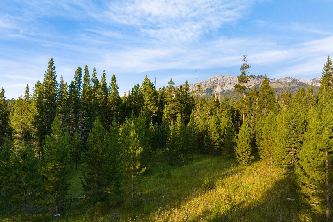 Bridger Park - Land