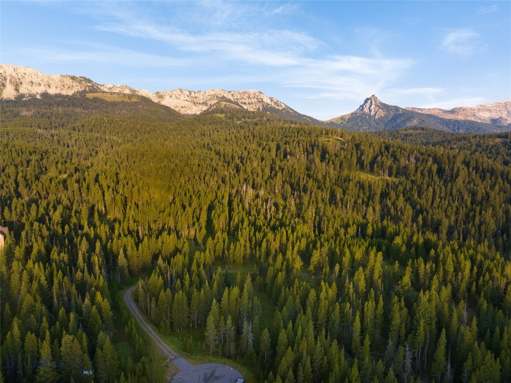 Bridger Park - Land
