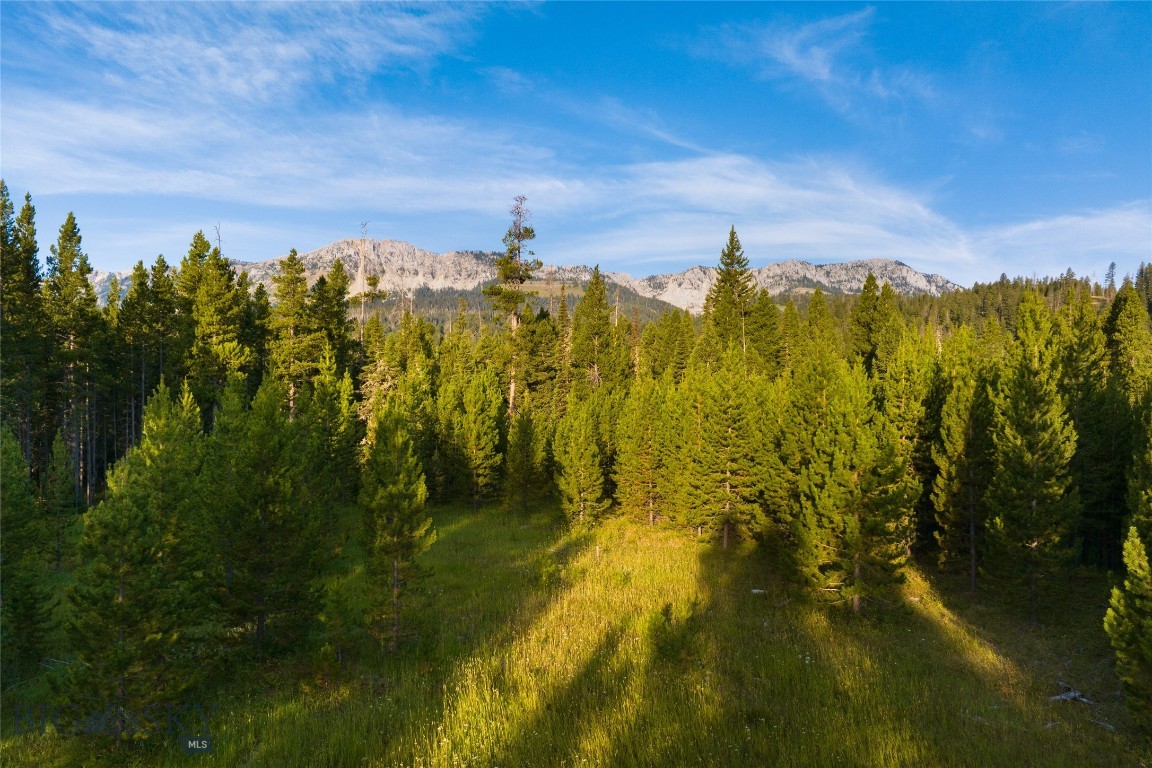 Bridger Park - Land