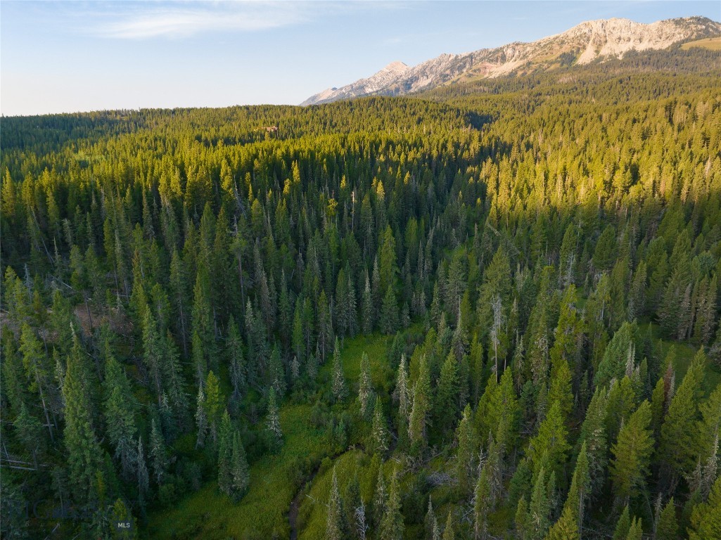 Bridger Park - Land