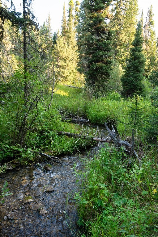 Bridger Park - Land