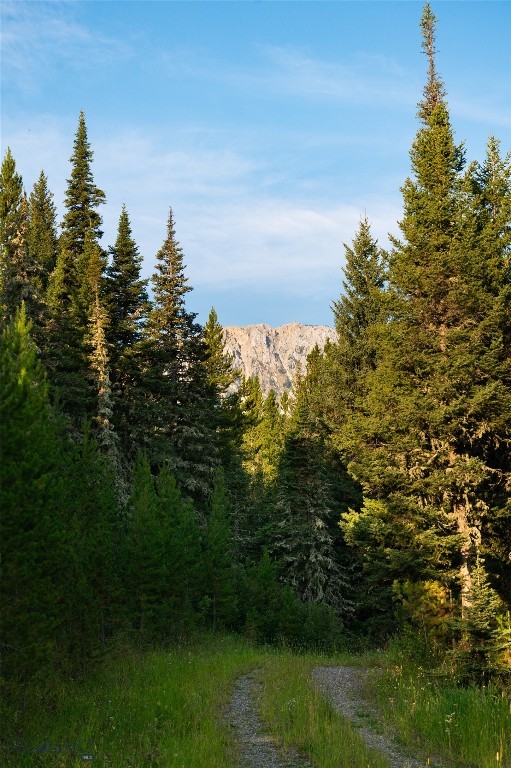 Bridger Park - Land