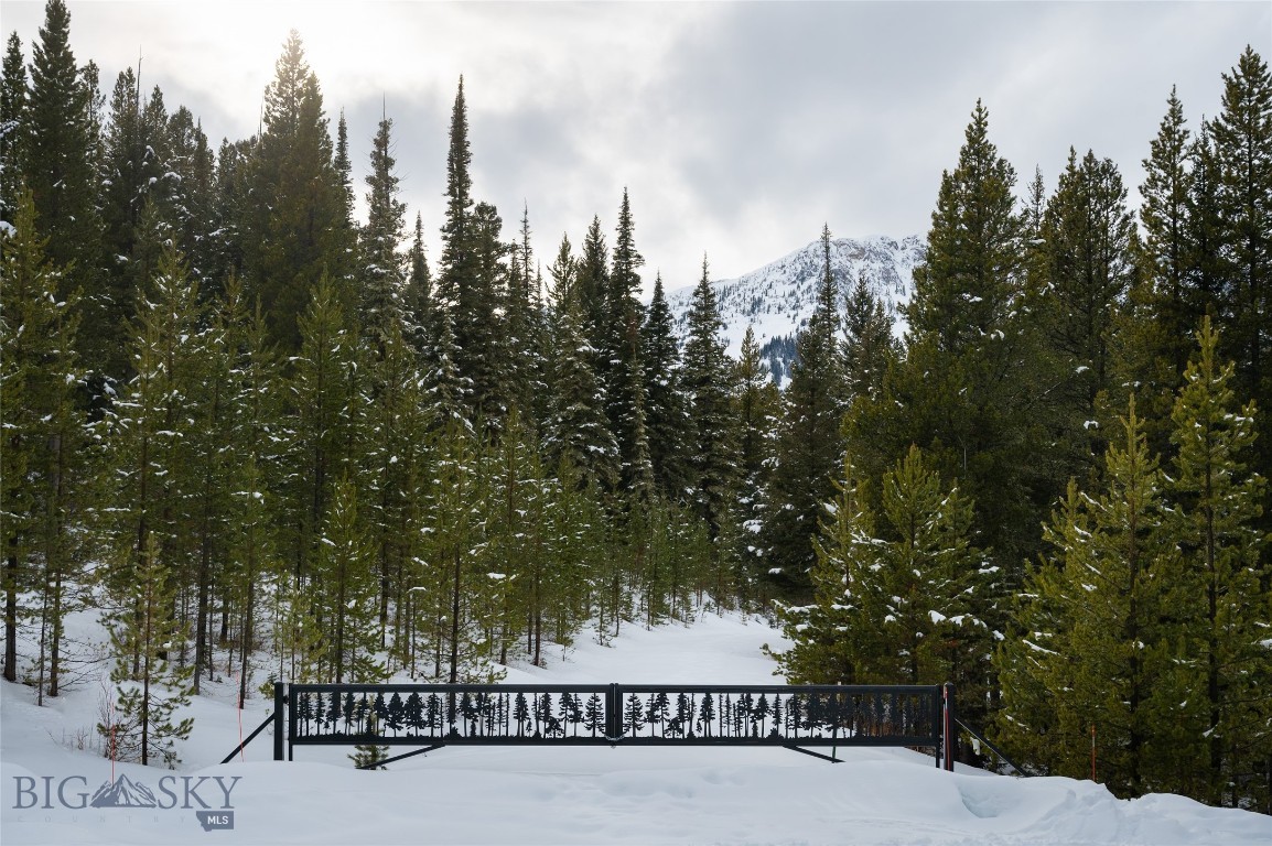 Bridger Park - Land