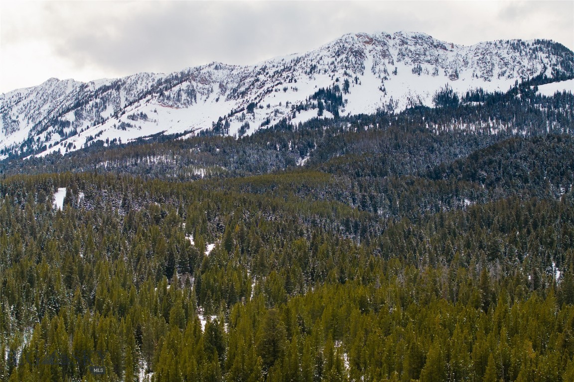 Bridger Park - Land