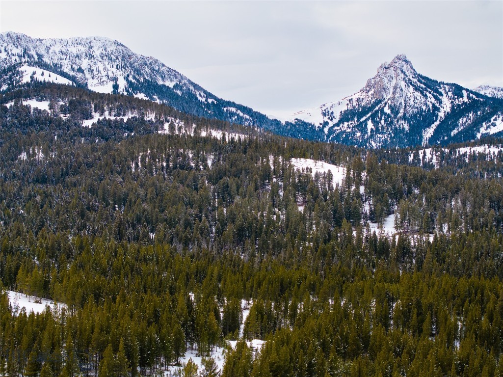 Bridger Park - Land