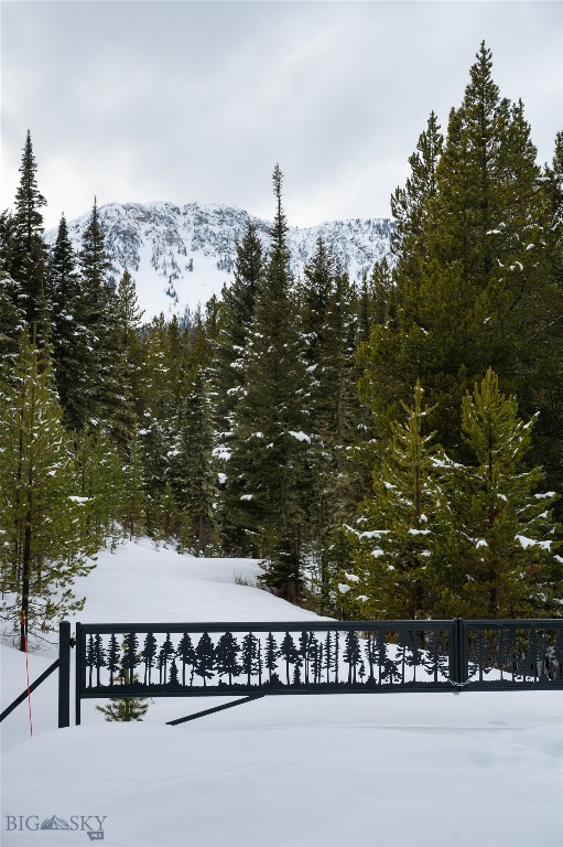 Bridger Park - Land