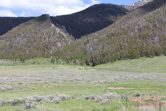 Sportsman's Paradise Lot A55 consists of 20.238 acres bordering National Forest! It is a great recreational property in the south end of the Madison Valley near quake Lake with easy access to Sheep Creek Canyon area. Sheep Creek ditch runs through the lots (but there are no water rights with this lot). Spectacular views near great hunting, fishing, snowmobiling, hiking, trail riding, etc. Seasonal access except by snowmobile in winter months. Close to Cliff & Wade Lakes, the famous Madison River, and Yellowstone National Park. Power is a few lots away and estimated around $10K to hook onto it. The estimate for extending the road into Lot A55 is $60K. Or build your off-the-grid cabin and get away from it all! There are a few remnants of old homestead cabins on the property. It adjoins Lot A54 which is also listed for sale for $240,000 (MLS
