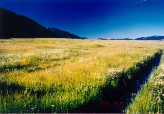 Sportsmans Paradise - Land