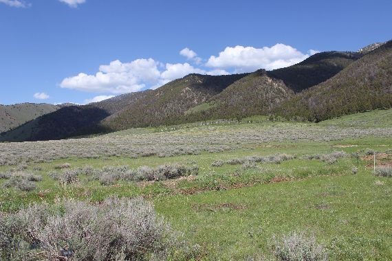 Sportsmans Paradise - Land