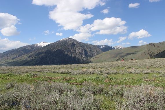 Sportsmans Paradise - Land