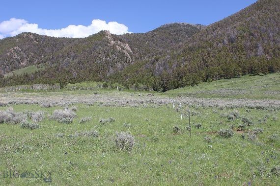 Sportsmans Paradise - Land