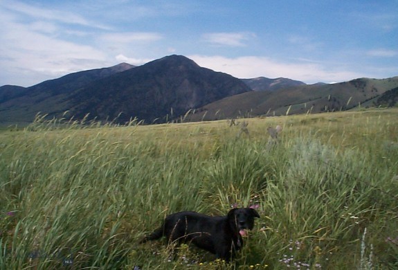 Sportsmans Paradise - Land