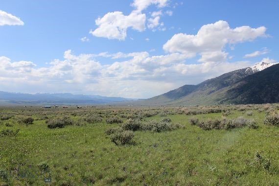 Sportsmans Paradise - Land