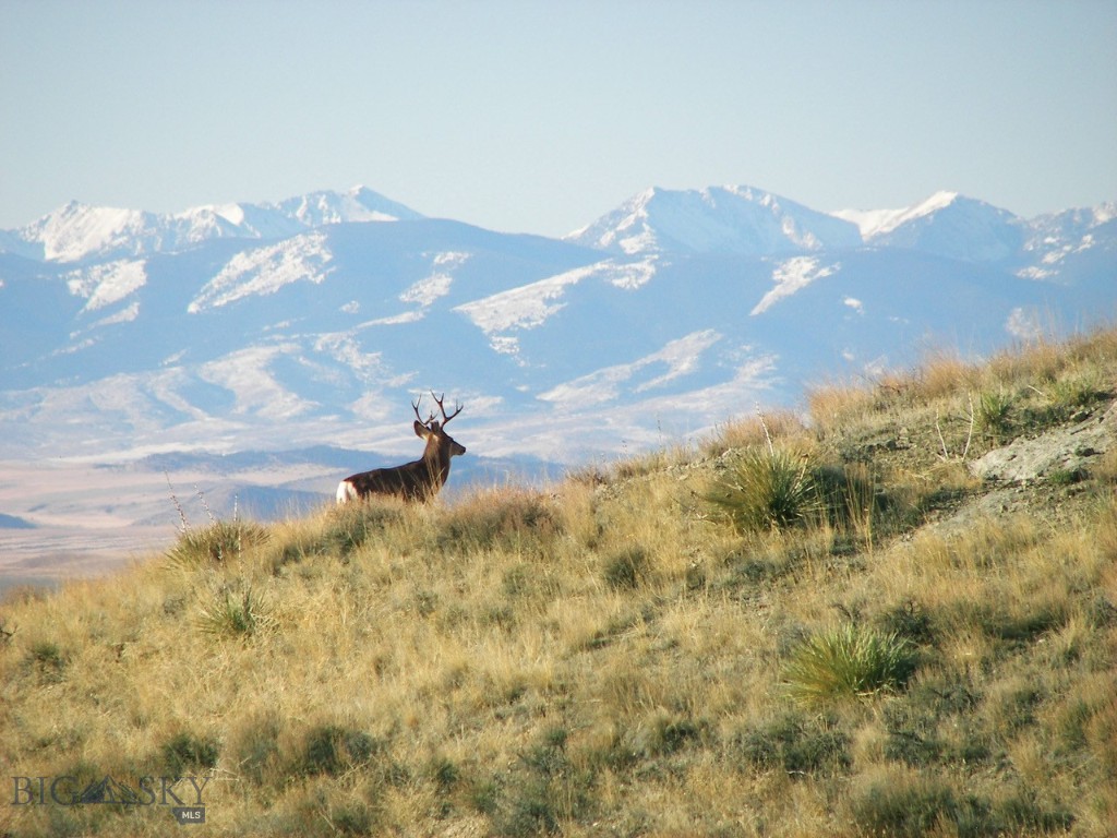 Gallatin River Ranch - Land