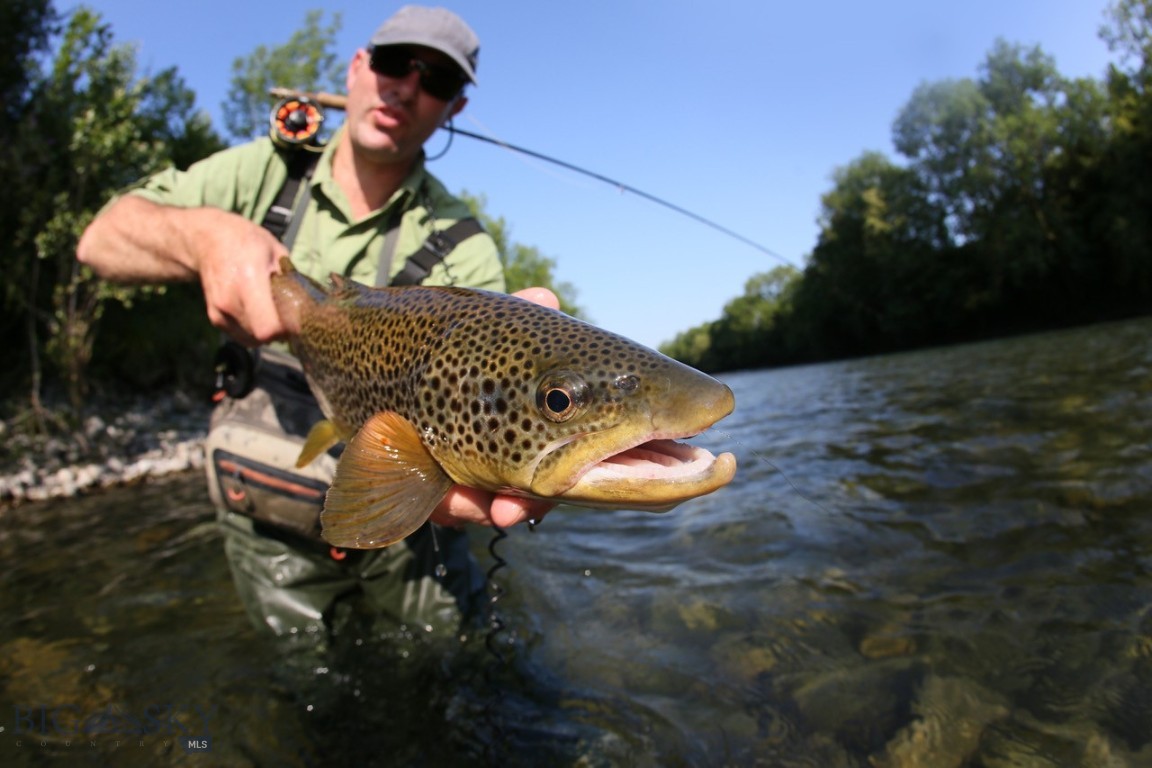 Gallatin River Ranch - Land