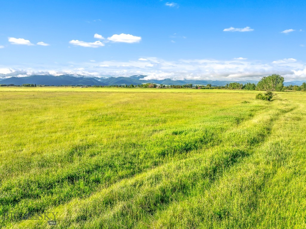Other - Land
