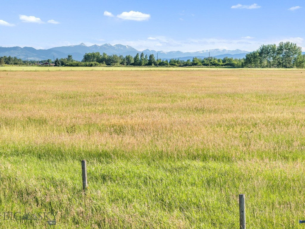 Other - Land