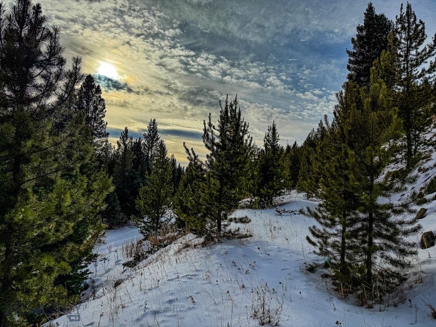 Situated along Cataract Creek, this off-grid lot offers a unique opportunity for those seeking a remote and rugged slice of Montana. Adding to the appeal of the land, it borders Forest Service lands along two sides, providing access to thousands of additional acres. The property features creek frontage and diverse terrain, with much of it steep and challenging, providing a setting that feels truly untamed. Unlike the surrounding area, which has been significantly impacted by beetle kill and blowdown, this lot stands out with a healthy young timber stand, a result of timely logging. A rough road cut begins on the property, adding a starting point for access or development. While remote, with access dependent on winter conditions, the area is rich in wildlife, including elk, deer, and bear, making it a desirable spot for outdoor enthusiasts or those looking for a foothold in Montana’s wild backcountry.