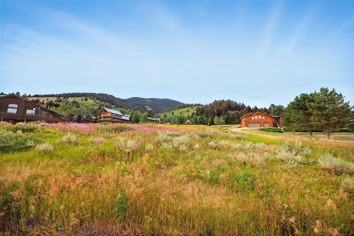 Yellowstone Holiday - Land