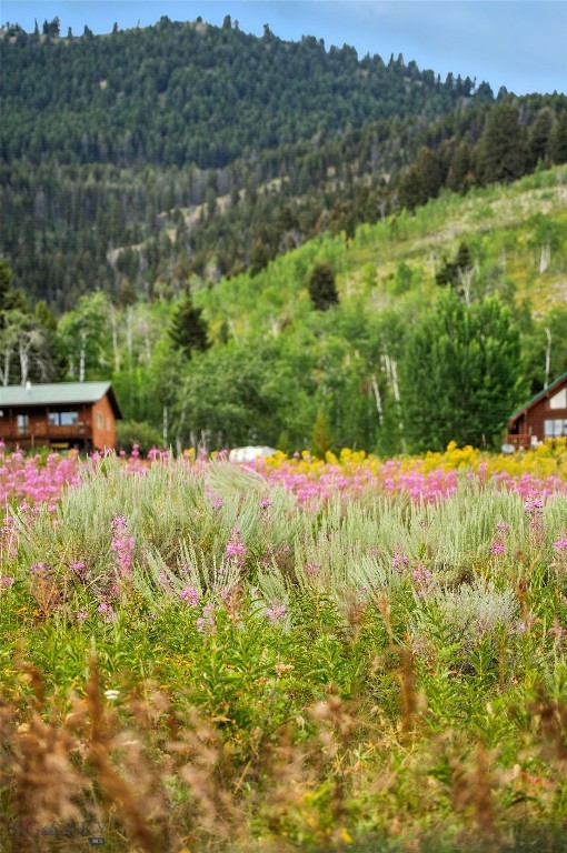 Yellowstone Holiday - Land