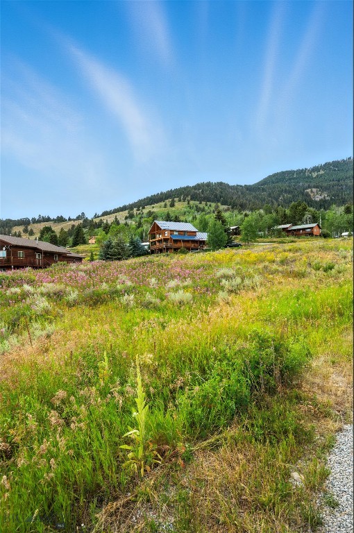 Yellowstone Holiday - Land