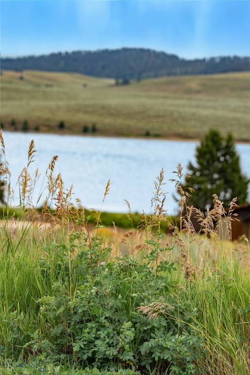 Yellowstone Holiday - Land