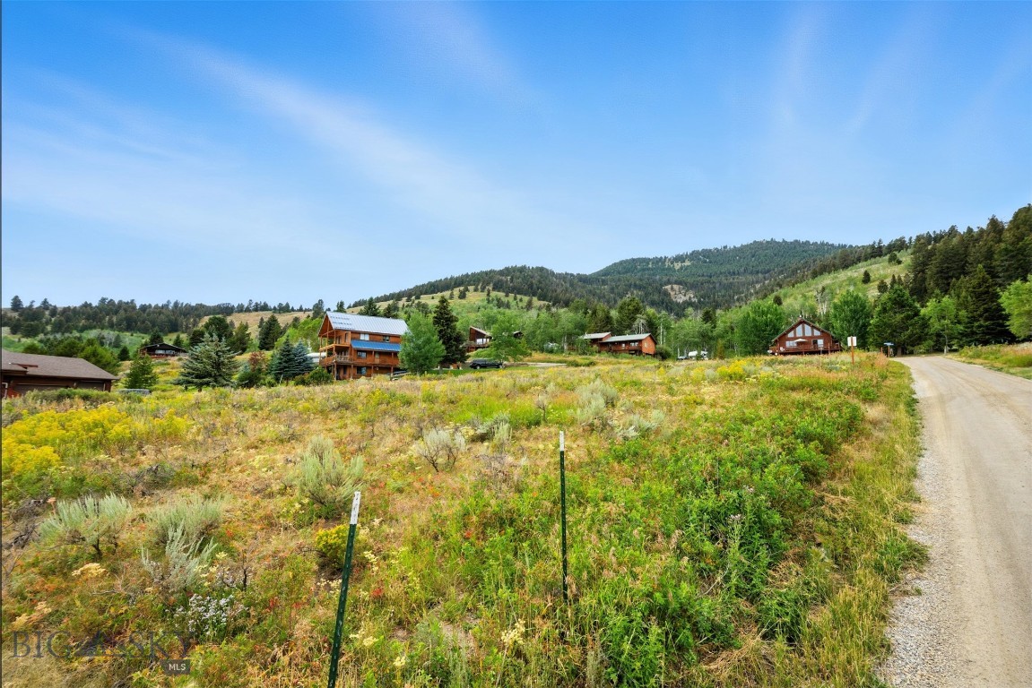 Yellowstone Holiday - Land