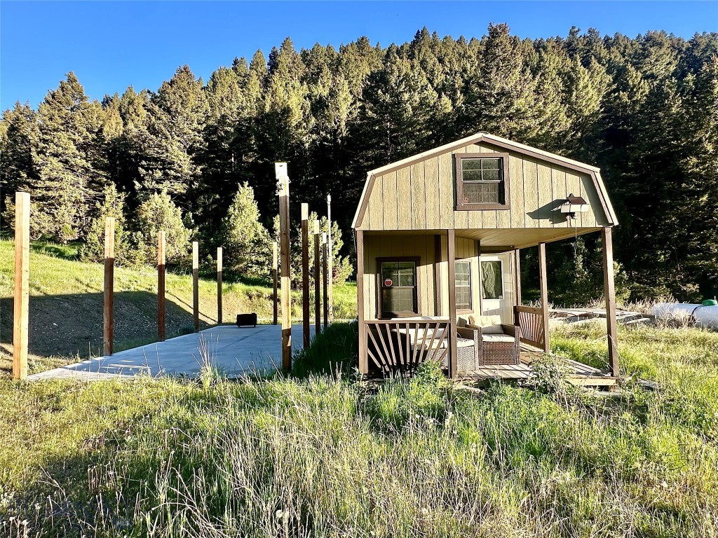 Ponderosa Pines - Land