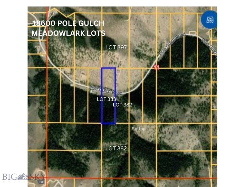 Ponderosa Pines - Land