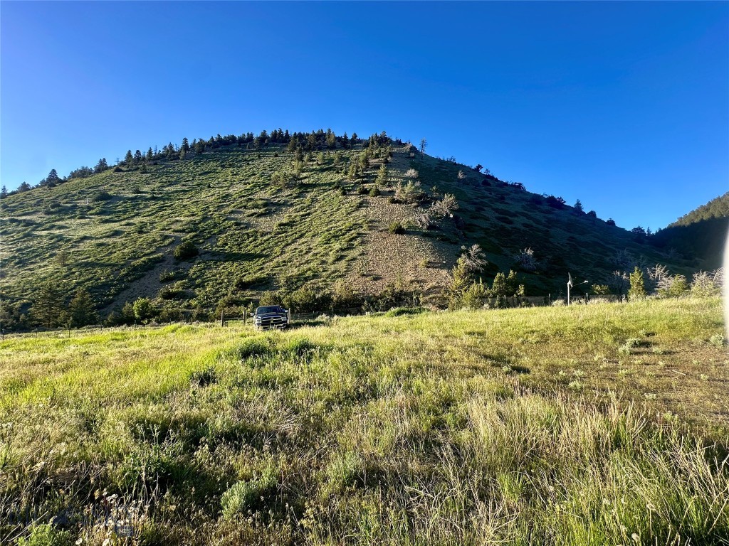 Ponderosa Pines - Land