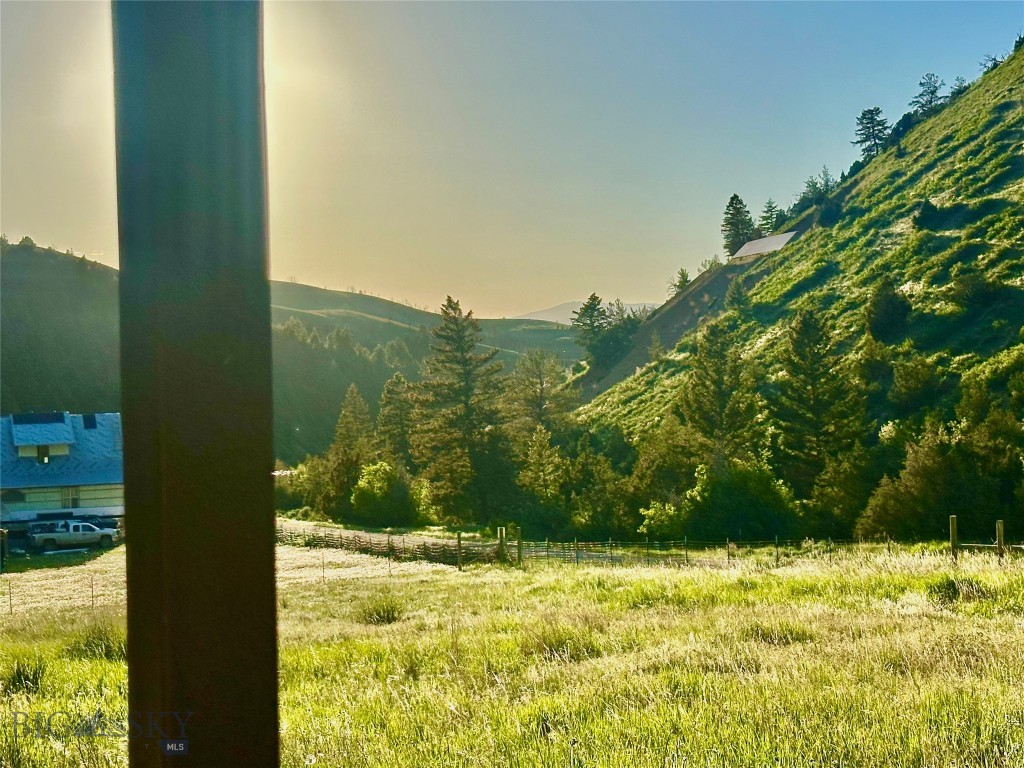 Ponderosa Pines - Land