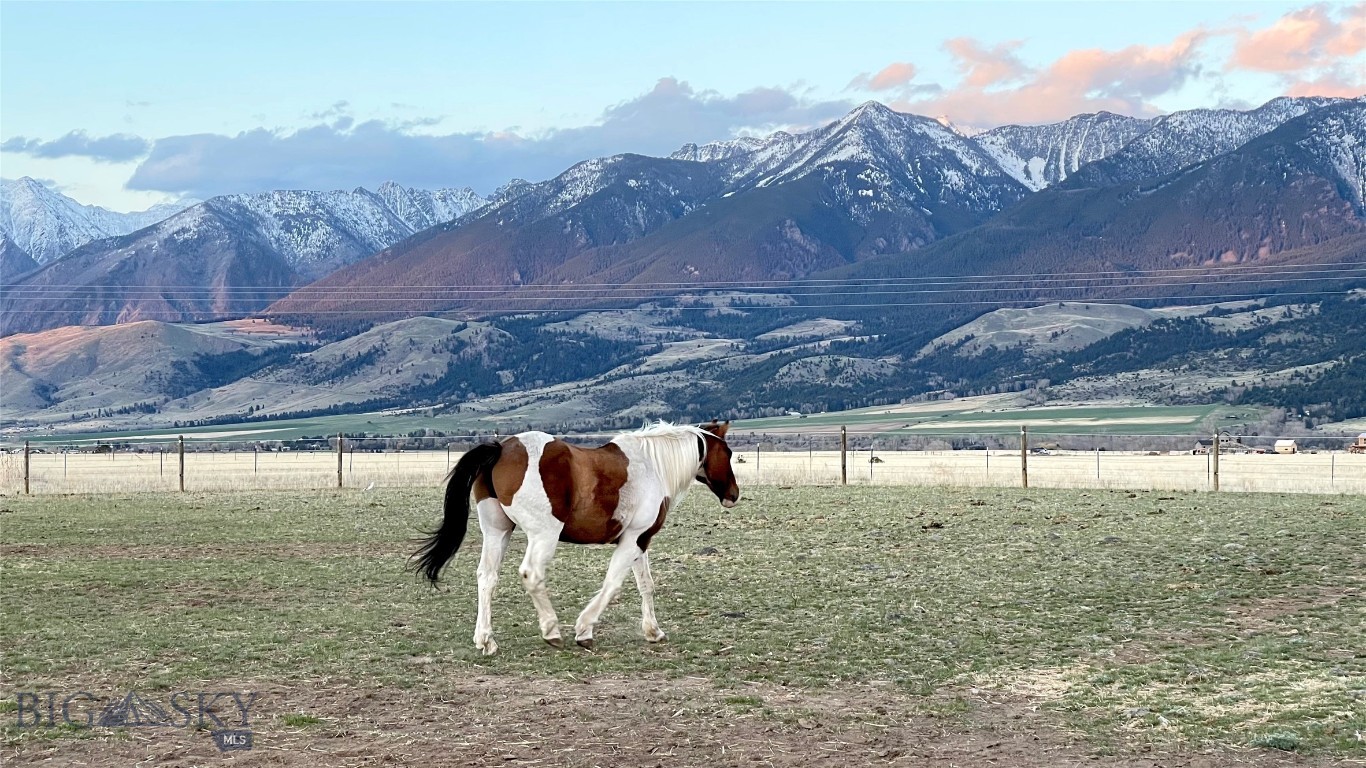 Certificate Of Survey COS - Residential