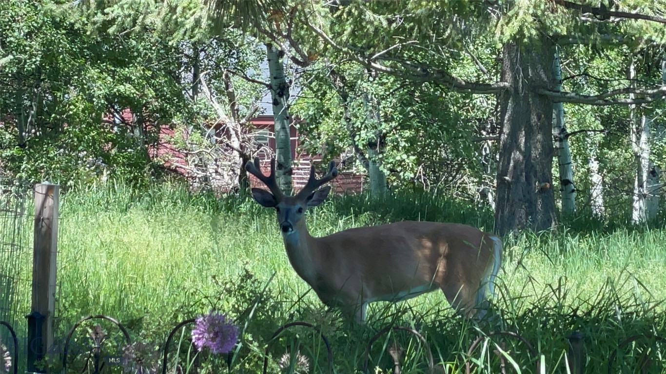 Thompson Additions - Residential