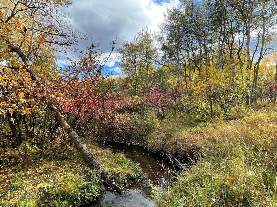 Rare offering of this park-like setting in the middle of Bozeman!  On city services, with nearly two and a half acres of serene property with mature landscape and a creek flowing through, it's a must see.  Whether you're looking for a legacy property or have a desire to do a luxury remodel, this home lends itself to many options.  In very close proximity to Montana State University, Bozeman Deaconess, schools, shopping, trails and so much more, it's all at your fingertips here ... and you can have an incredible private backyard experience with Montana wildlife frequently visiting as well.  There is an abundance of natural light and Southern exposure with this home, you'll love it!  With an open and inviting main floor living room, plus an additional flex space, this home offers many options and is a must see!  Please make note that some of the rooms are non-confirming and closets are located in the hallway.  However, there are plenty of options to make this home whatever you can imagine!  With updates throughout the decades, this modern mid century home offers unique architectural design elements and pulls in Montana's beauty, in the heart of Bozeman.
Please make note that listing agent has ownership in property.  This is also listed as an option with the adjoining approx. 1.396 AC parcel for a total of approx 3.868 AC as MLS#409414