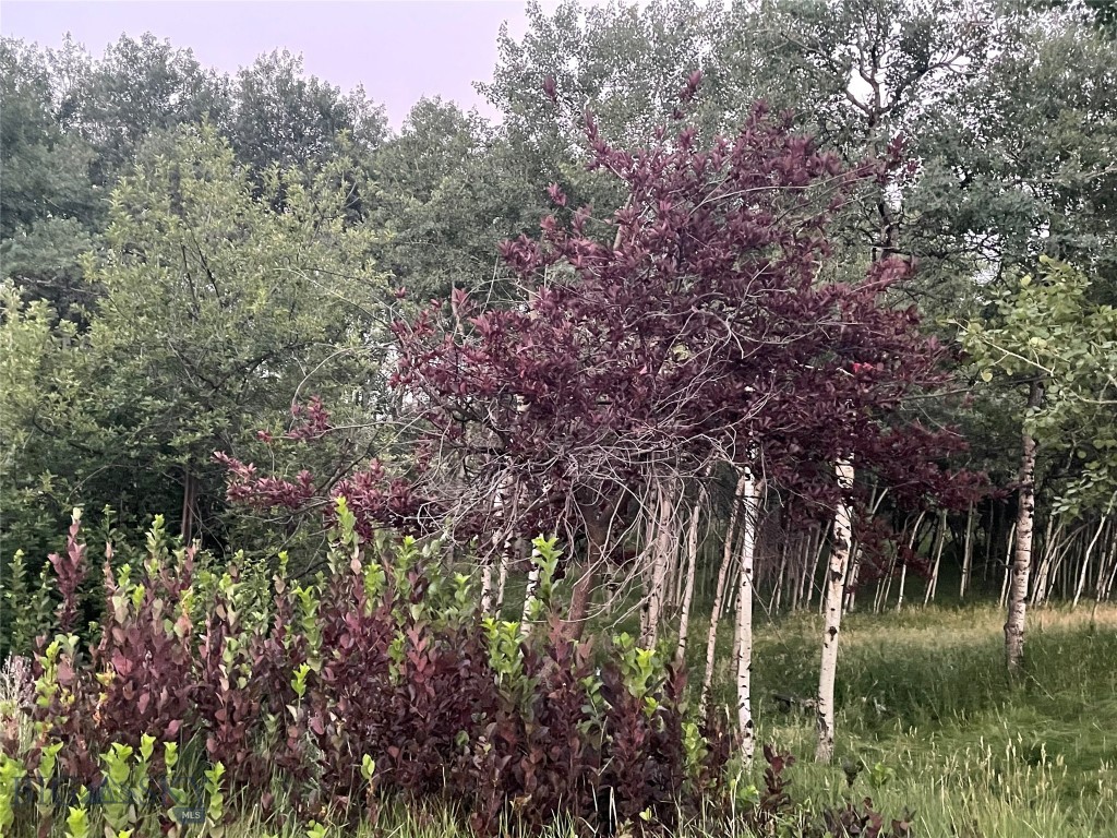 Thompson Additions - Residential