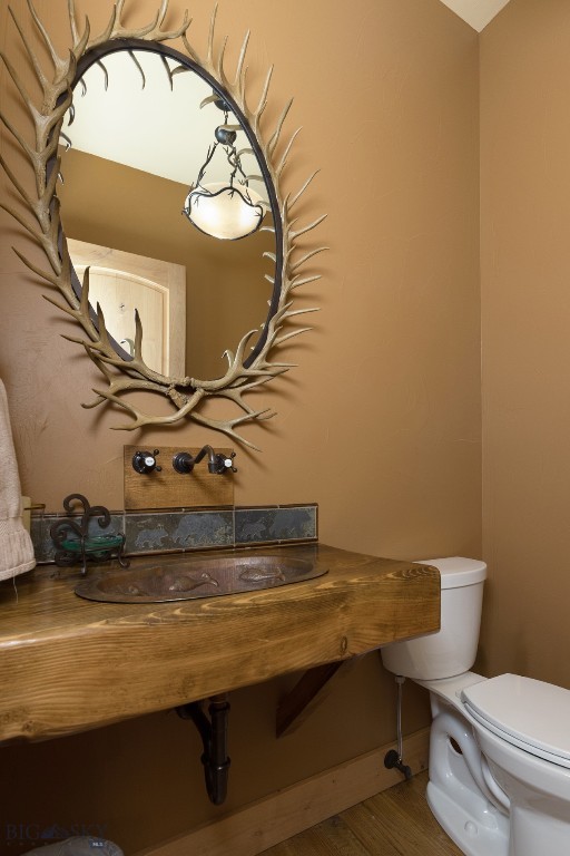 Diamond Hitch Of Ski Moonlight - Residential